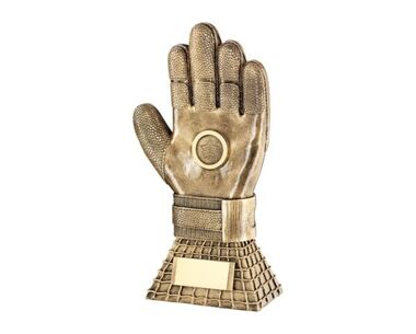 Product Image for Goalkeeper's Glove Award