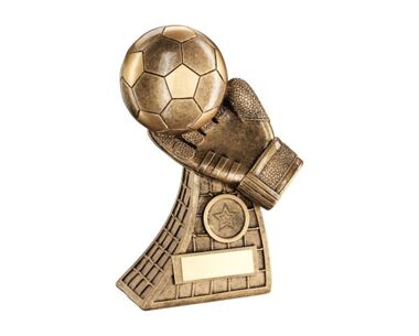 Product Image for Goalkeeper's Save Award