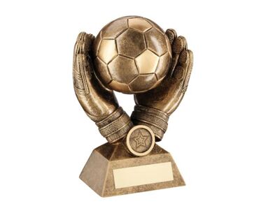 Product Image for Goalkeeper Presentation Award