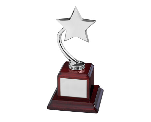 TZ002S Silver Star Award