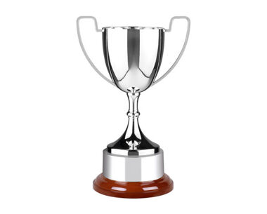 Product Image for Silver 'Endurance' Cup with Rosewood Base