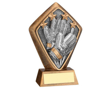 Product Image for Goalkeeper Presentation Award