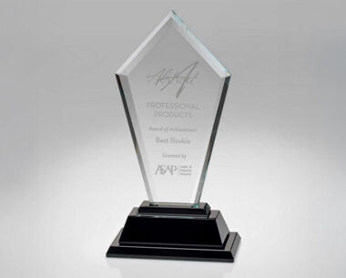 Product Image for Clear &amp; Black Glass Deluxe Corporate Award - 16&quot;
