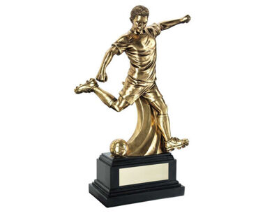 Product Image for Deluxe Football Award - 14&quot;