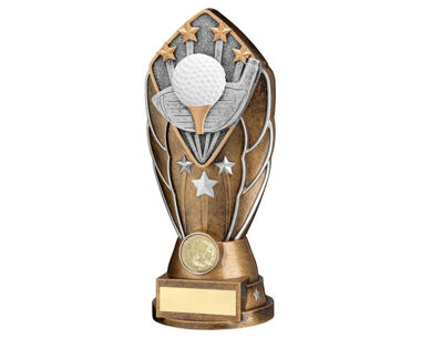 Product Image for Golf Ball Award