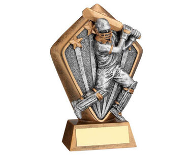 Product Image for Batsman Diamond Cricket Trophies 5.25"