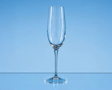 Product Image for 235ml Allegro Champagne Flute