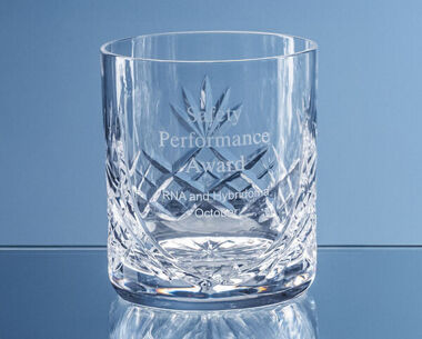 400ml Blenheim Lead Crystal Panel Whisky Tumbler