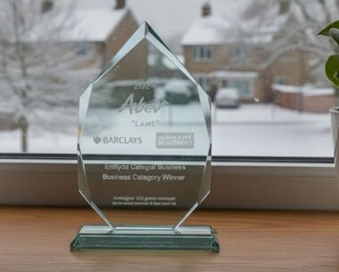 Diamond-Shaped Corporate Award