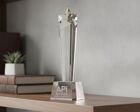 JB4100 engraved star award