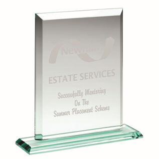 Portrait Corporate Award
