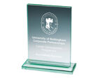 T.0922 Rectangle jade glass award