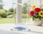 HC019 Crystal Corporate Award