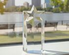 SCW53 Crystal Star award