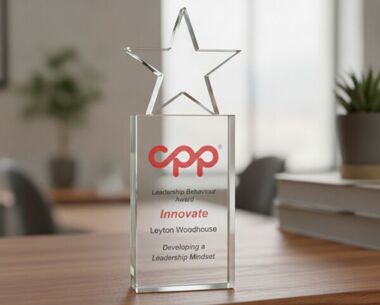 Corporate Recognition Star Award