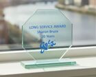 TP07P Jade Glass Award