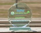 JBG1201P PRinted Glass Award