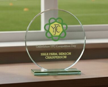 Printed Circular Jade Glass Award