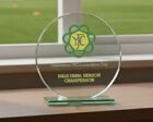 TP32P Circular Glass Award