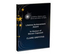 T.7876 Dark 3D rectangle glass award