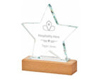 T.4103 star glass award with wooden base