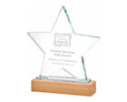T.4104 glass star award wood base