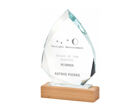 T.4107 glass arrowhead award with wooden base
