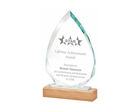 T.4108 Glass arrow head award with oak wooden base