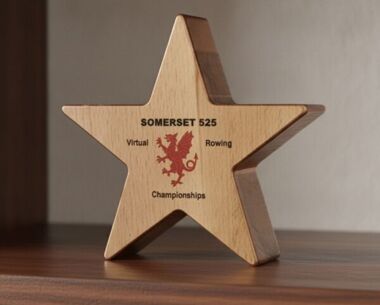 Printed Sustainable Wooden Star Award