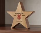 SL91P Sustainable Wooden Star Award