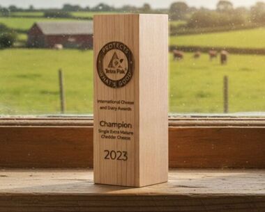 Engraved Sustainable Wooden Column Award