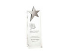 T.0400 Glass pillar star award