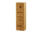 T.4098 Engraved pillar bamboo award