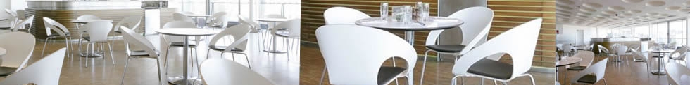 Cafe Chairs