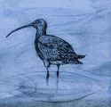 Painting on Glass Courses