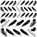 Decals for Fusing