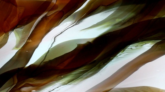 bar054-fluide-marron-vert-blanc