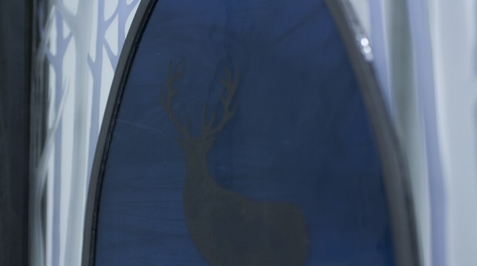 stag detail