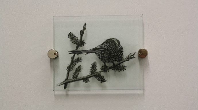 IMG_2008