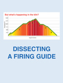 Dissecting A Firing Schedule