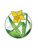 Spring Daffodil Pattern