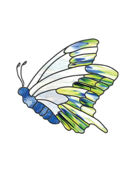 Butterfly Spirit Pattern