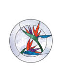 Bird Of Paradise Pattern