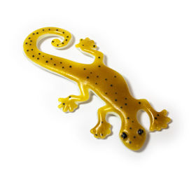 Gecko 2