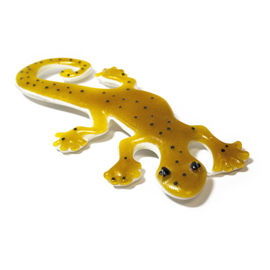 Gecko