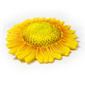 Small sunflower 1