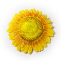 Small sunflower 2
