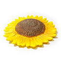 Large sunflower 1
