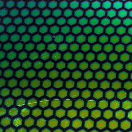 Crinklized Honeycomb 1 on Thin Black 2