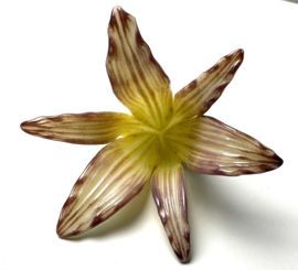 Lily 2